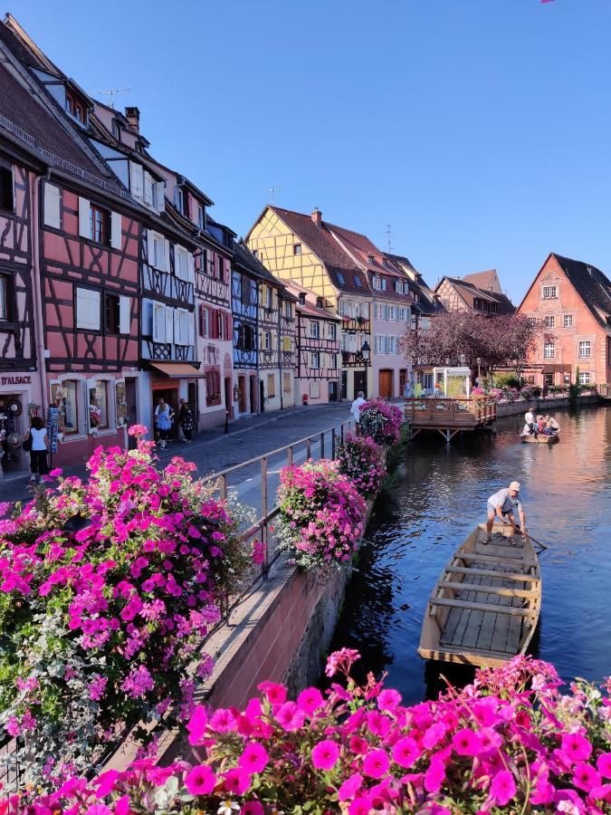 Au Kugelhopf Dore - Centre Historique Colmar Exterior foto